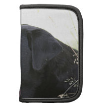 Labrador retriever planners