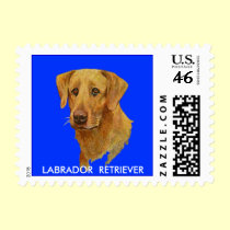 Labrador Retriever Postage stamps