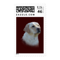 Labrador Retriever Postage Stamp