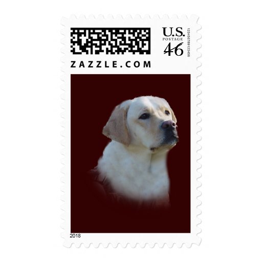 Labrador Retriever Postage Stamp