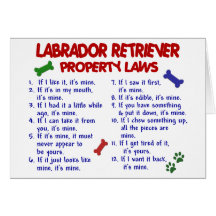 LABRADOR RETRIEVER Property Laws Cards
