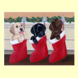 Labrador Retriever Puppies Christmas Post Cards postcards
