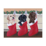 Labrador Retriever Puppies Christmas Post Cards