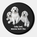 Labrador Retriever Puppies Magnet