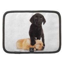 Labrador Retriever Puppies Playing Organizers