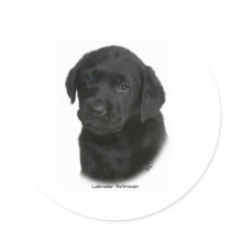 Labrador Retriever Puppy 9Y270D-041 stickers