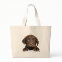 Labrador Retriever puppy 9Y270D-050 bags