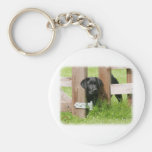Labrador Retriever Puppy 9Y415D-162 Key Chain
