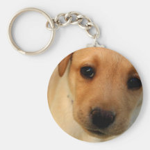Labrador Retriever Puppy Key Chain