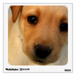 Labrador Retriever Puppy Room Decals