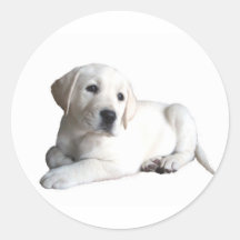 Labrador Retriever Sticker Puppy