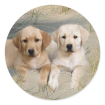 Labrador Retriever Sticker Pups On Beach by normagolden Labrador Retriever Sticker Pups On Beach