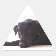 labrador retriever stickers