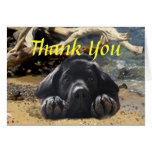 Labrador Retriever Thank You Card