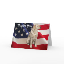 Labrador Retriever Thank You Card America card
