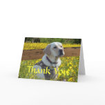 Labrador Retriever Thank You Card At The Fence