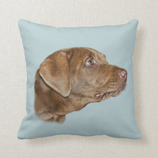 labrador body pillow