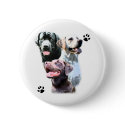 Labrador Retriever Trio - Button