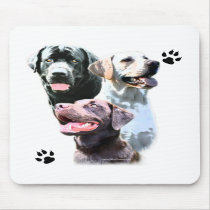 Labrador Retriever Trio Mouse Pad mousepads