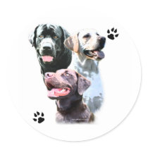 Labrador Retriever Trio - Sticker