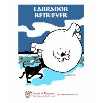 Labrador Retriever t-shirts by HeartofDogness Labrador Retriever t-shirts