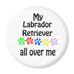 Labrador Retriever Walks Design