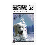 Labrador Retriever Winter postage