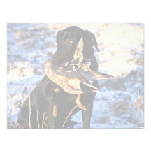 Labrador Retriever with Drake Mallard Personalized Invitations