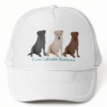 Labrador Retrievers - 3 Colors to Love Hat