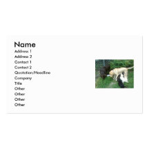 labrador retrievers business card