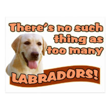 LABRADOR RETRIEVERS POST CARD