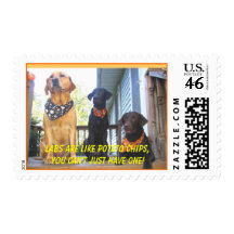 Labrador Retrievers Stamp