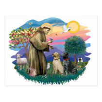 Labrador Retrievers (two) postcards