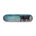 Labrador Skateboard