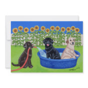 Labrador Summer Pool Party Invitations