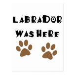 Labrador Was Here Post Cards