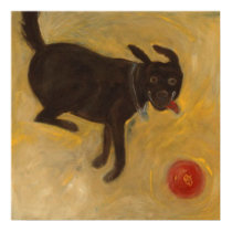 Labrador with a Ball posters