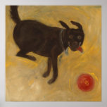 Labrador with a Ball Poster
