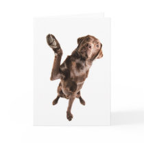 Labrador with a Big High Five Greeting Cards