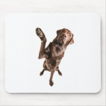 Labrador with a Big High Five Use Pad