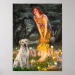 Labrador (Y7) - MidEve Poster