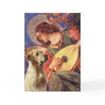 Labrador (Y8) - Mandolin Angel cards