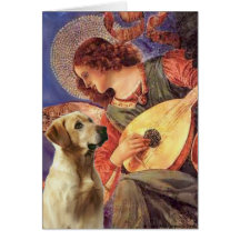 Labrador (Y8) - Mandolin Angel Cards