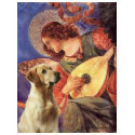 Labrador (Y8) - Mandolin Angel t-shirts