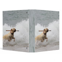 Labrador - Yellow - Go Fetch! Vinyl Binders