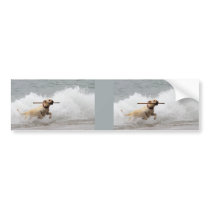 Labrador - Yellow - Go Fetch! Bumper Sticker