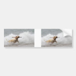 Labrador - Yellow - Go Fetch! Bumper Stickers
