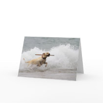 Labrador - Yellow - Go Fetch! Greeting Card