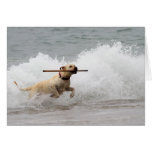 Labrador - Yellow - Go Fetch! Card