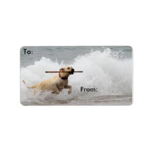 Labrador - Yellow - Go Fetch! Personalized Address Label